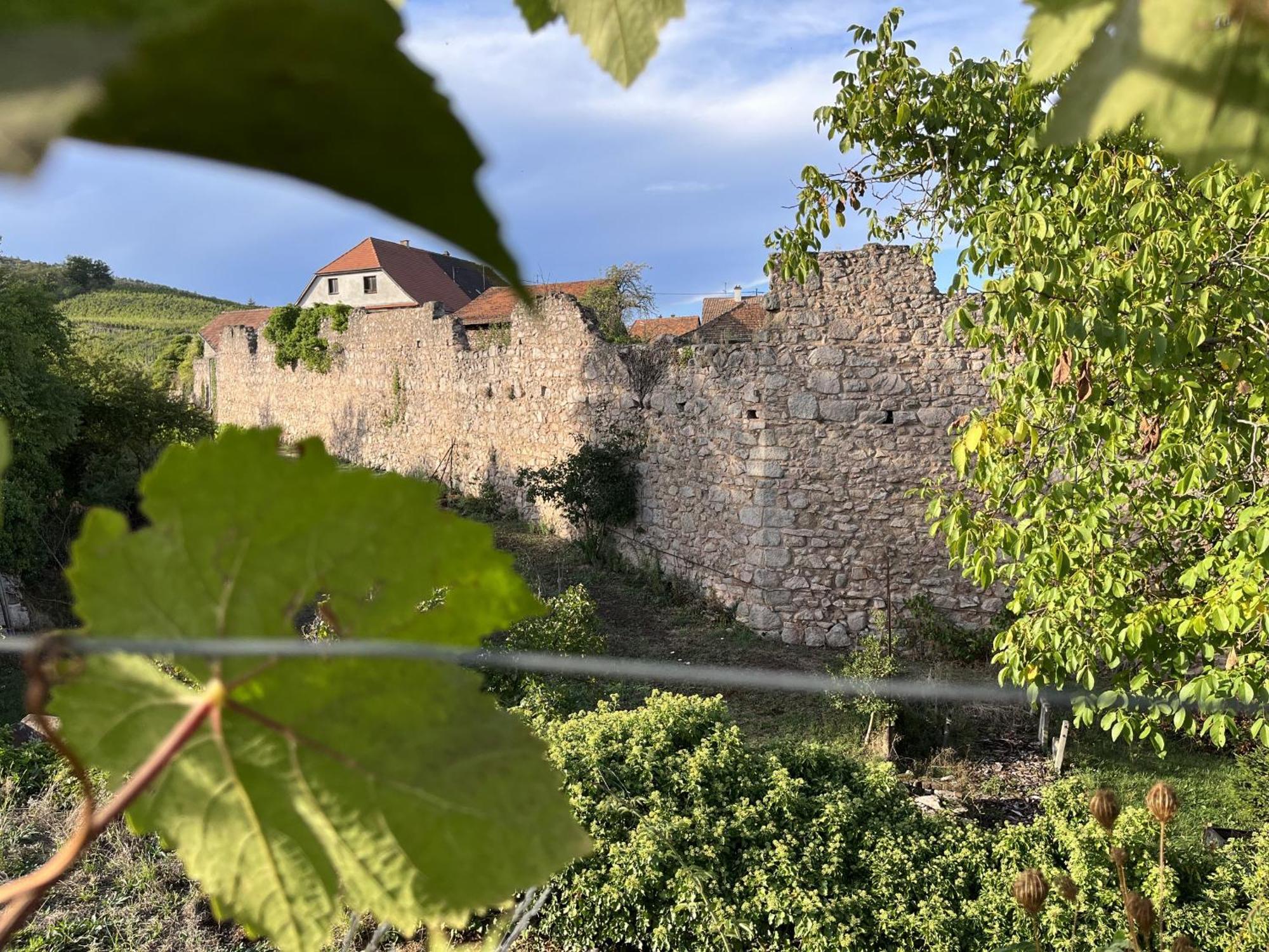 Le Refuge Du Rempart Hotel Dambach la Ville Ruang foto