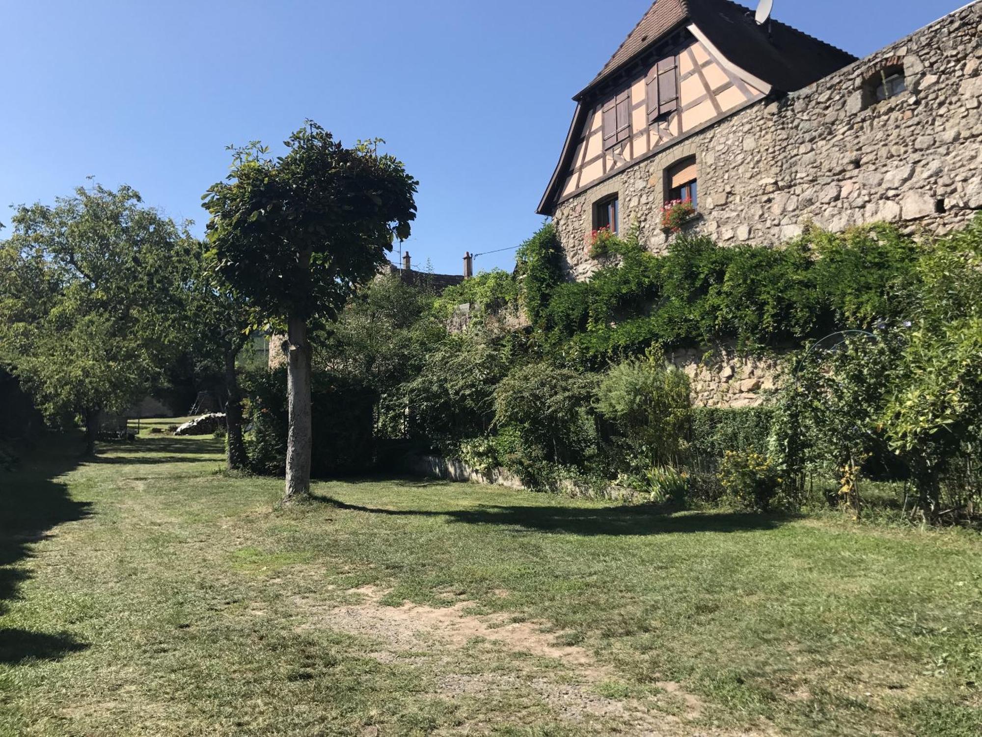 Le Refuge Du Rempart Hotel Dambach la Ville Bagian luar foto